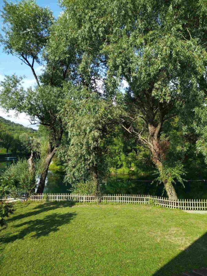 Kuca Delic Villa Račić Kültér fotó