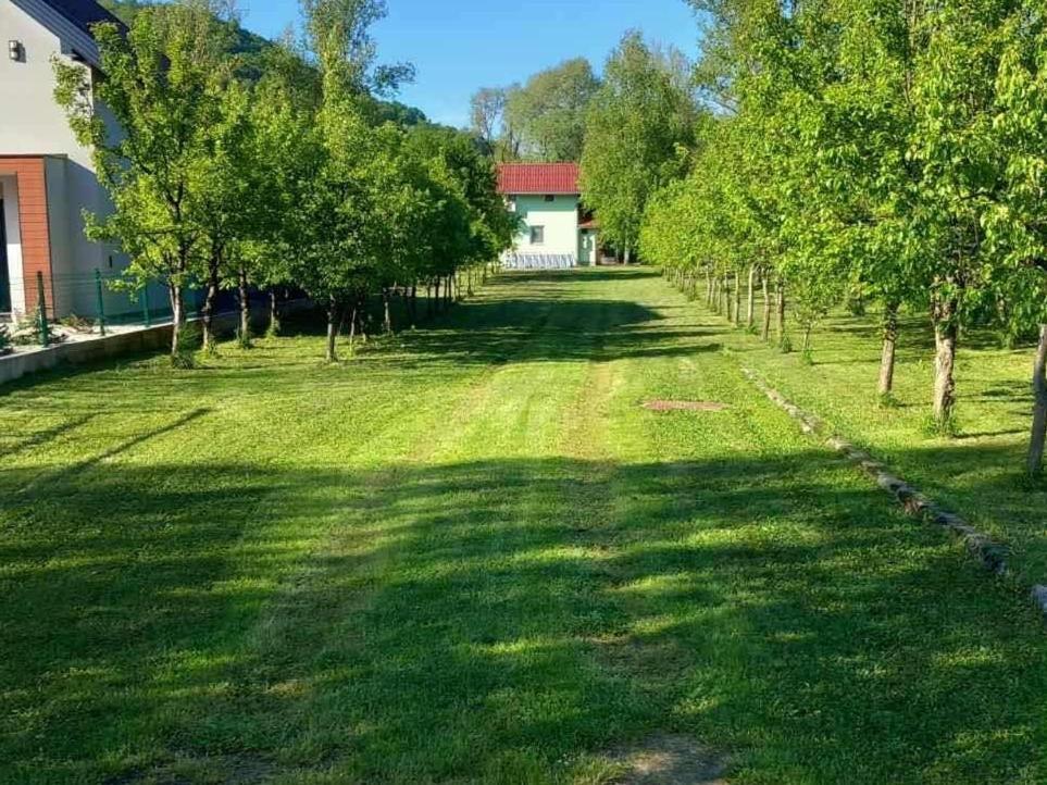Kuca Delic Villa Račić Kültér fotó