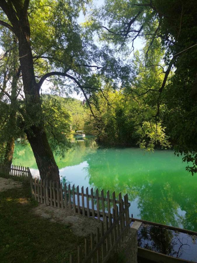 Kuca Delic Villa Račić Kültér fotó