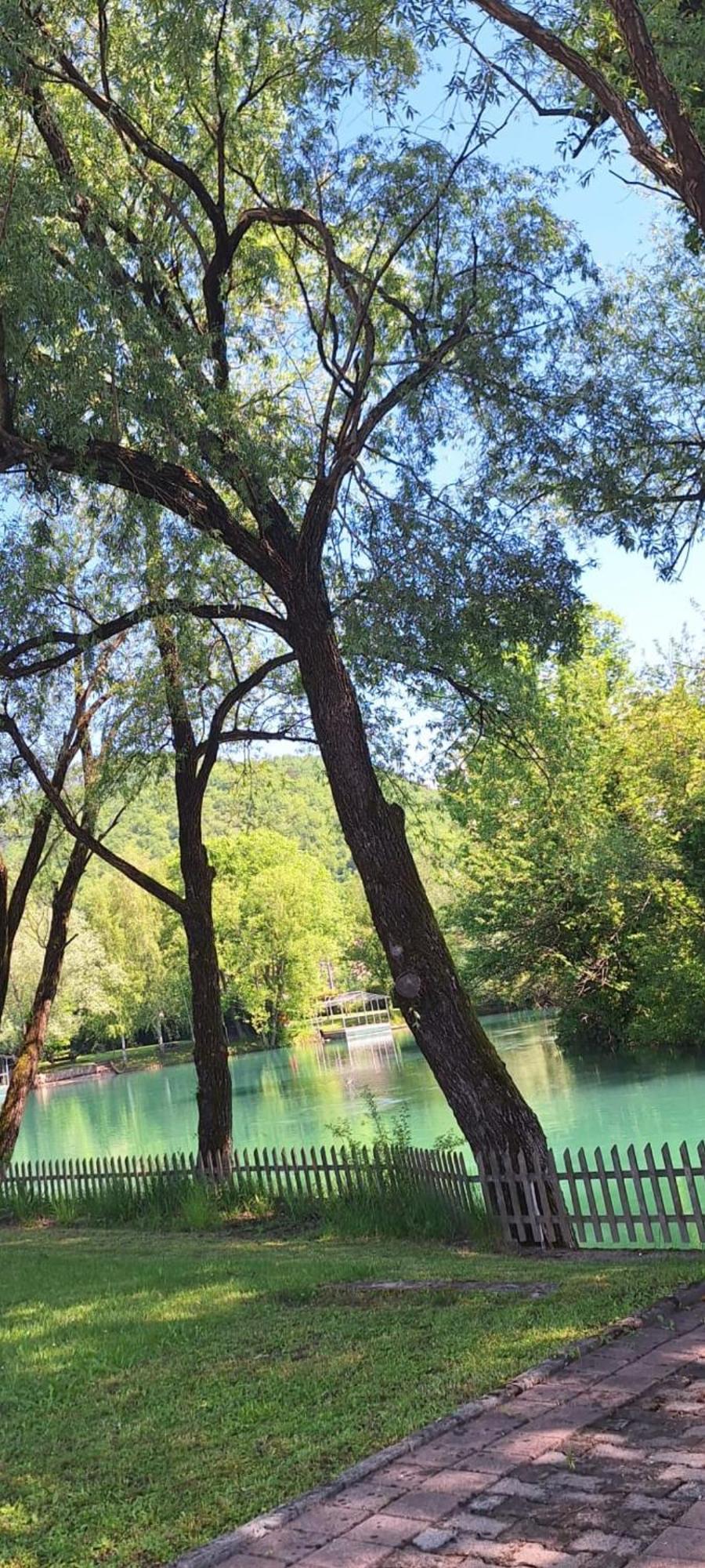 Kuca Delic Villa Račić Kültér fotó