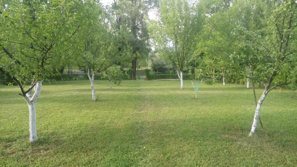 Kuca Delic Villa Račić Kültér fotó