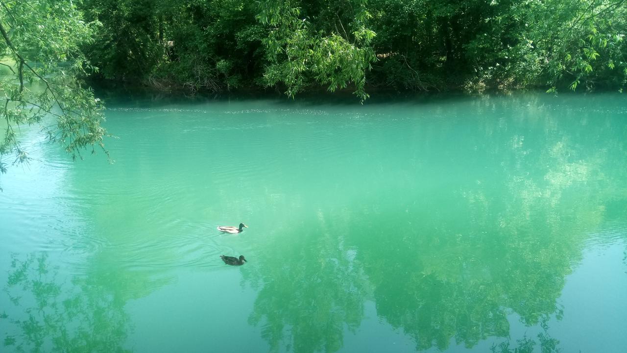 Kuca Delic Villa Račić Kültér fotó