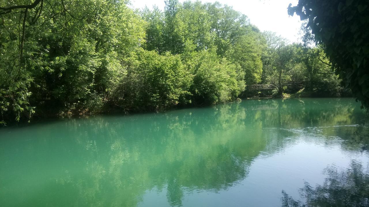 Kuca Delic Villa Račić Kültér fotó